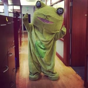 Meet your Posher, Meg